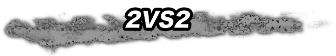 2VS2